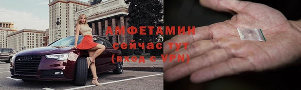 дмт Инта