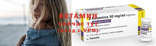 дмт Инта