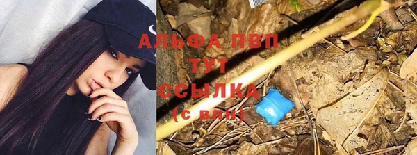 крисы Кирс