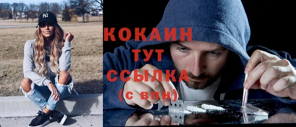 дмт Инта