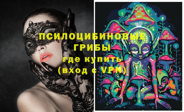 крисы Инсар